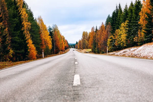 Luchtfoto Van Landweggetjes Geel Oranje Herfstbos Finland — Stockfoto