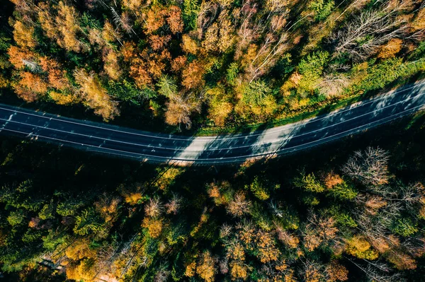 秋の森の中の道路の空中風景赤とオレンジの葉 — ストック写真