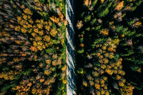 Aerial View Road Autumn Forest Red Orange Leaves — Stock Photo, Image