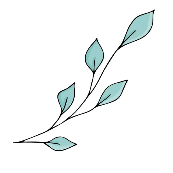 涂鸦风格矢量元素 绿叶可爱的枝条 着色书 — 图库矢量图片