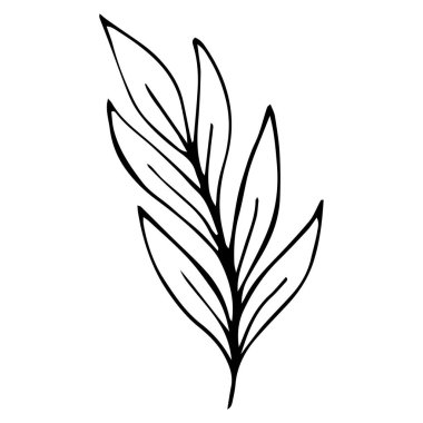 vektör karalama biçimi ögesi, çizim, yapraklı şirin dal, boyama kitabı