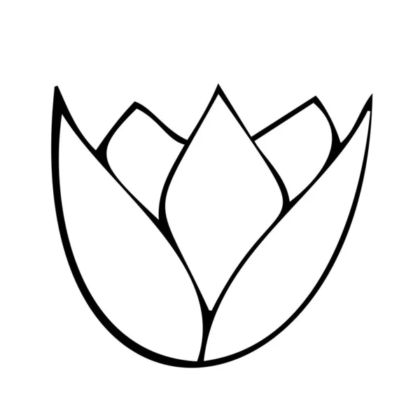 Vector doodle elemento de estilo, dibujo, flor de loto lindo, libro para colorear — Vector de stock