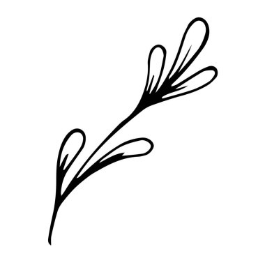 vektör karalama biçimi ögesi, çizim, yapraklı şirin dal, boyama kitabı