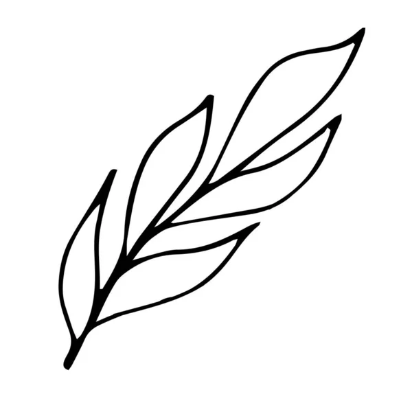 ドードルスタイルベクトル要素パターン葉とかわいい小枝 — ストックベクタ