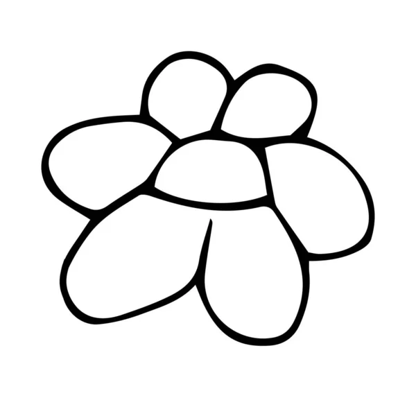 Vektorový Prvek Stylu Doodle Vzor Roztomilý Květ Omalovánky — Stockový vektor