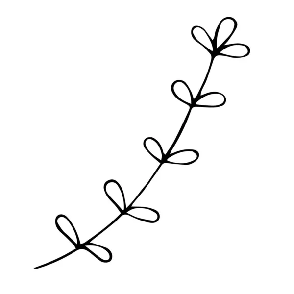 Vector doodle elemento de estilo, dibujo, ramita linda con hojas, libro para colorear — Vector de stock