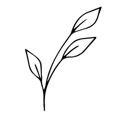 Karalama stili vektör ögesi, desen, yapraklı şirin dal, boyama kitabı