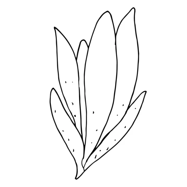 Doodle Vektor Element Muster Niedliche Abstrakte Blume Malbuch — Stockvektor