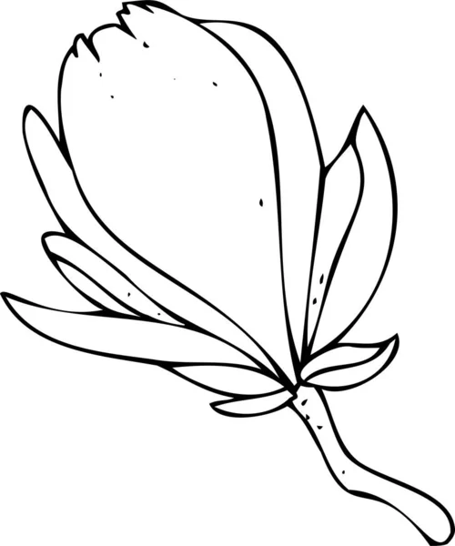 Wektor Czarno Biały Element Botaniczny Kontur Rysunek Liniowy Szkic Ręczny — Wektor stockowy