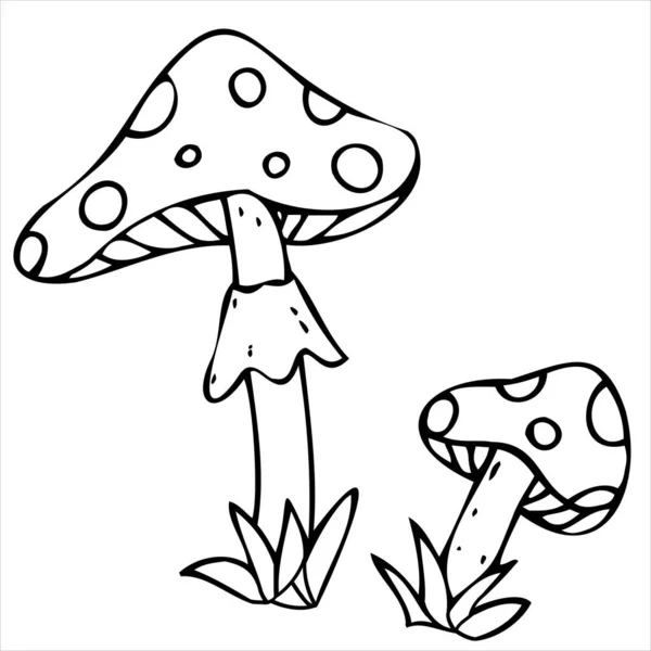 Amanita Giftige Paddenstoelen Gif Hekserij Vector Decoratief Element Voor Halloween — Stockvector