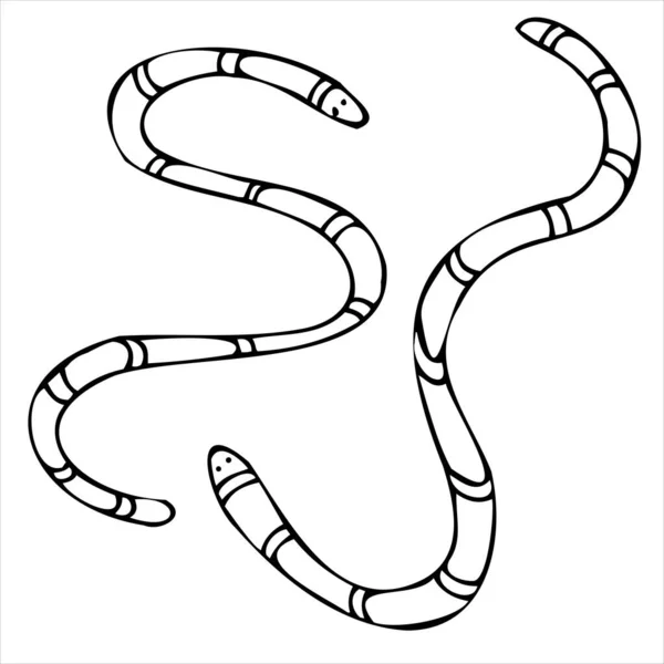 Serpenti Vermi Spaventosi Elemento Doodle Vettoriale Celebrazione Halloween Stile Doodle — Vettoriale Stock
