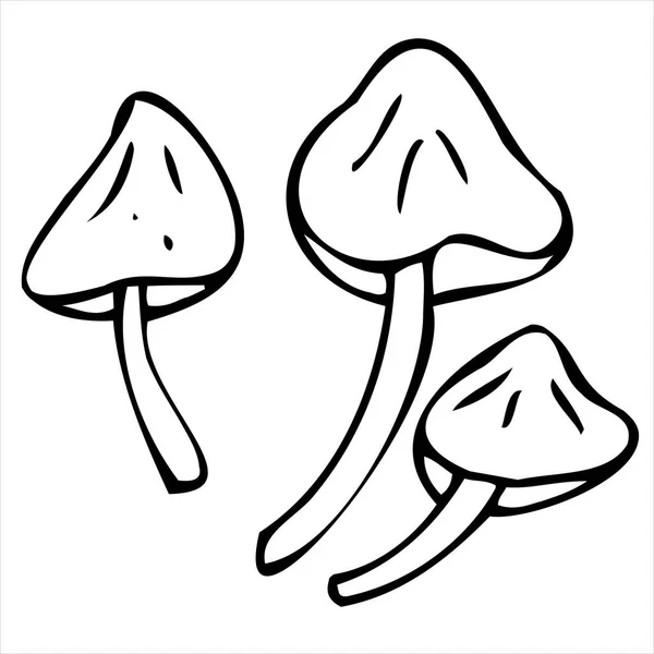 Poisonous Toadstool Mushrooms Vector Decorative Element Halloween Celebration Doodle Style — Stock Vector