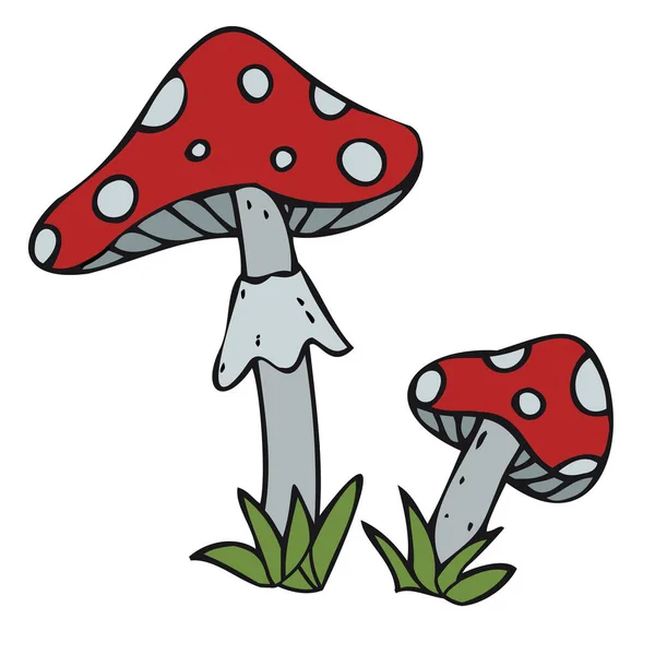 Amanita Poisonous Mushrooms Poison Witchcraft Vector Decorative Element Halloween Celebration — Stock Vector