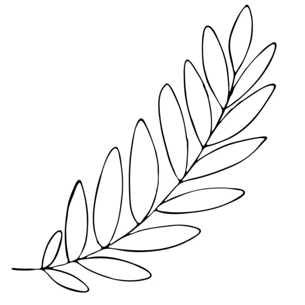 Outono Ramo Rowan Com Folhas Desenho Mão Livre Elemento Vetorial —  Vetores de Stock