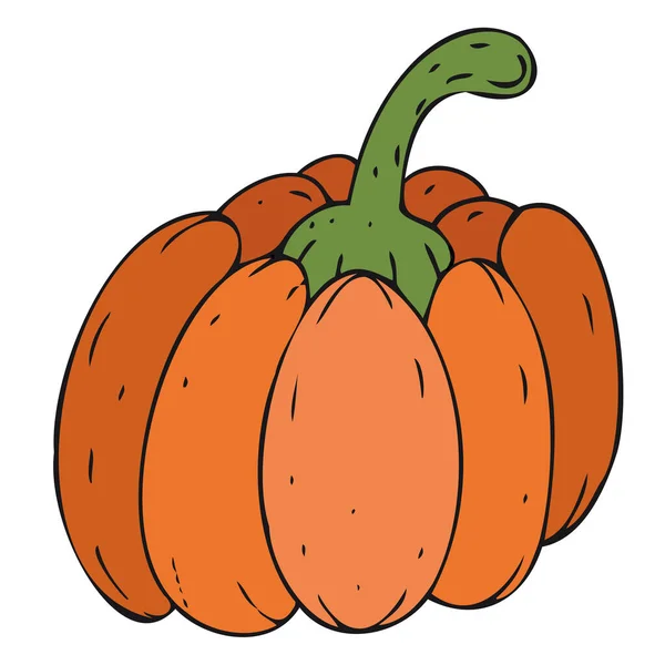 Calabaza Linda Doodle Vector Elemento Decorativo Para Celebración Halloween Ilustración — Vector de stock