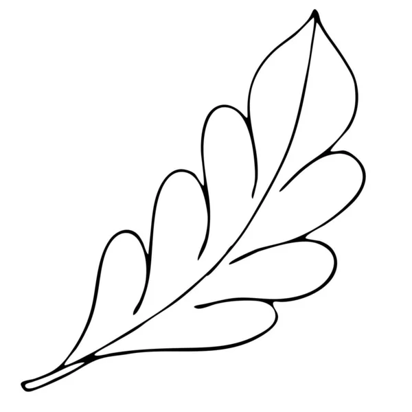 Hoja Otoño Dibujo Mano Alzada Elemento Vectorial Estilo Doodle Libro — Vector de stock