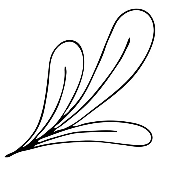 Φθινοπωρινό Φύλλο Ελεύθερο Σχέδιο Διανυσματικό Στοιχείο Στυλ Doodle Βιβλίο Ζωγραφικής — Διανυσματικό Αρχείο