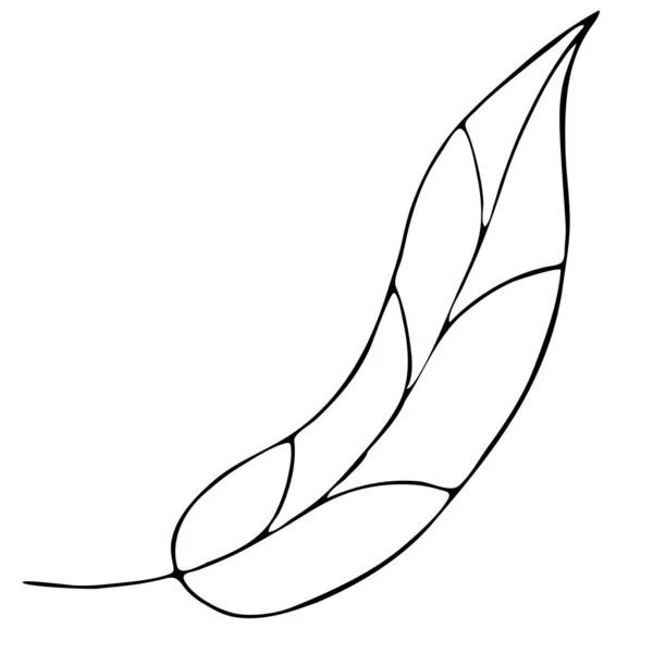 Höst Löv Frihand Ritning Vektor Element Doodle Stil Målarbok Svart — Stock vektor