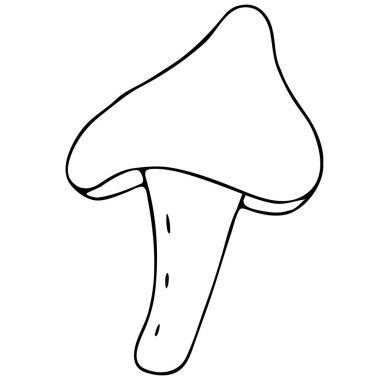 Ormandan sonbahar hasadı - mantarlar, el yazması çizimler, karalama tarzında vektör elementleri, boyama kitabı, siyah ana hatlar