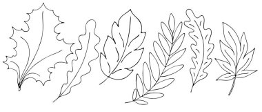 Sonbahar nesneleri - yapraklar, dallar, dağ külleri, el yazması çizim, karalama stili, boyama kitabı, siyah çizim