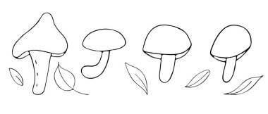 Sonbahar orman nesneleri - mantarlar ve yapraklar, el yazması çizim, karalama stili, boyama kitabı, siyah ana hatlı vektör