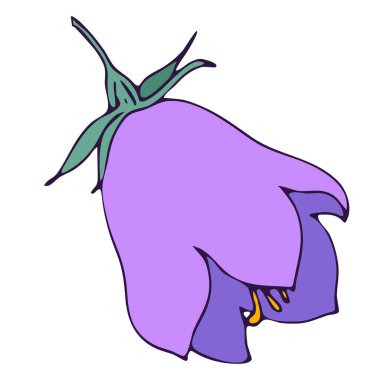 Çan çiçeği, karalama stili vektör ögesi, freehand rengi botanik illüstrasyon