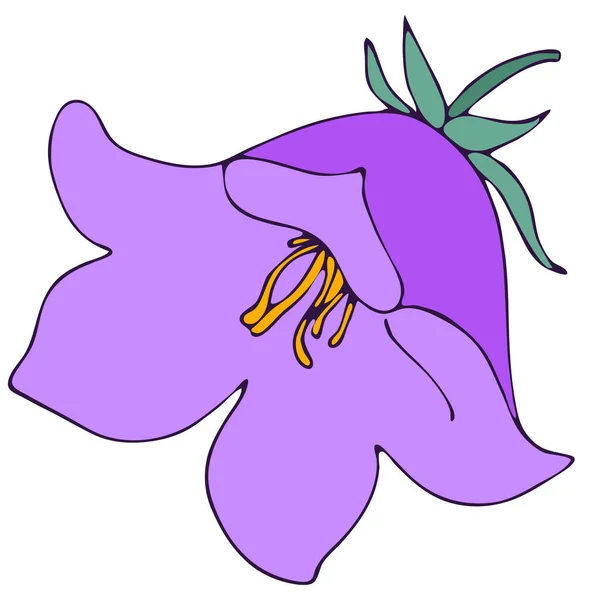 Fleur Cloche Élément Vectoriel Style Doodle Illustration Botanique Couleur Main — Image vectorielle