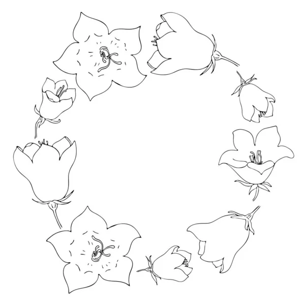 Flor Sino Coroa Redonda Vetor Estilo Doodle Cor Botânica Ilustração —  Vetores de Stock