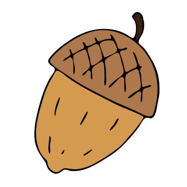 Orman meşe palamudu açık kahverengi, serbest çizim, vektör karalama tarzı element, siyah çizgili.