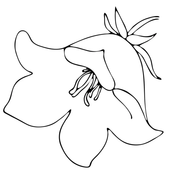 Fleur Cloche Élément Vectoriel Style Doodle Livre Colorier Illustration Botanique — Image vectorielle