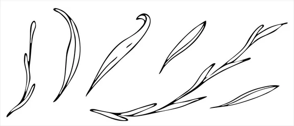 Vektor Set Von Elementen Doodle Stil Zeichnung Niedlicher Schmetterling — Stockvektor