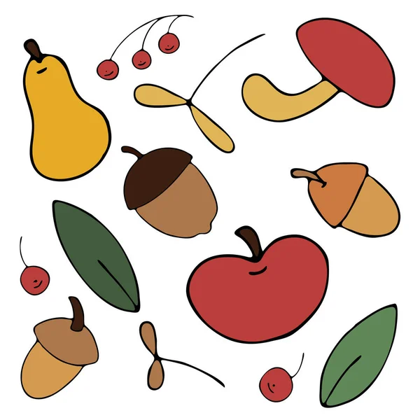Φθινοπωρινή Συγκομιδή Από Τον Κήπο Και Από Δάσος Μήλα Αχλάδια — Διανυσματικό Αρχείο