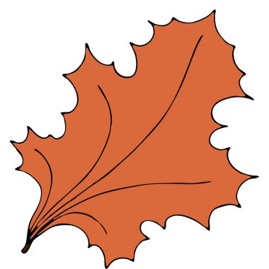 Akçaağaç yapraklı portakal yaprağı, vektör karalama biçimi ögesi, siyah çizgili