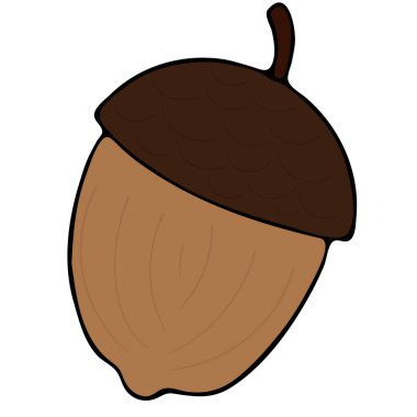 Kahverengi şapkalı meşe palamudu, vektör karalama stili element, siyah çizgili.