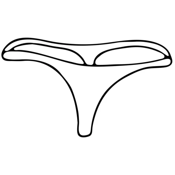 Set Female Sexy Underwear Cute Thong Panties Vector Elements Doodle — Stock Vector