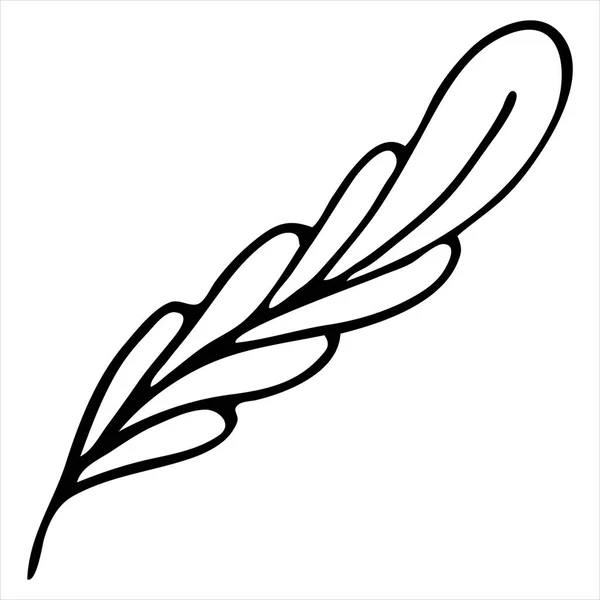 Plume Mignonne Style Boho Livre Coloriage Élément Vectoriel Dessin Pour — Image vectorielle
