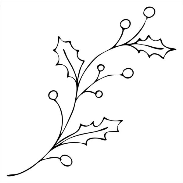 Stechpalmenzweig Mit Beeren Doodle Vektor Element Malbuch Weihnachtssymbol — Stockvektor