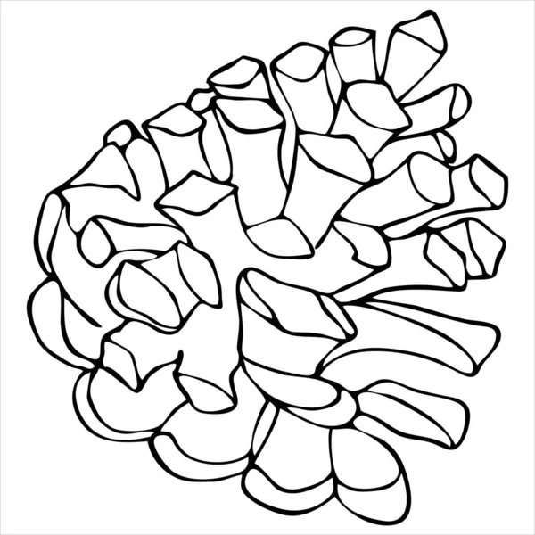 Cône Pin Élément Vectoriel Dans Style Doodle Livre Coloriage — Image vectorielle