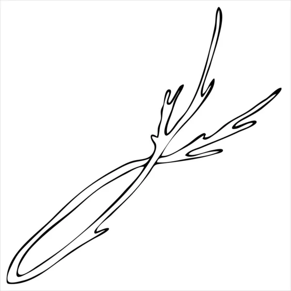 Kvist Vektor Element Doodle Stil Målarbok — Stock vektor