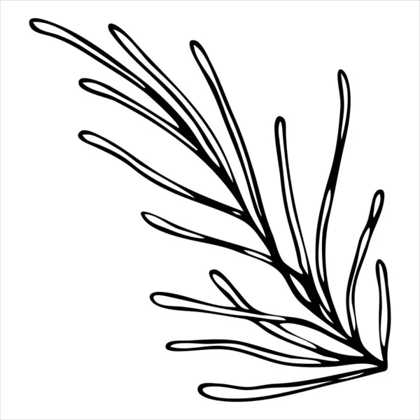 Livre Colorier Perruque Pin Conifère Élément Vectoriel Style Doodle — Image vectorielle