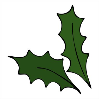 Holly 'nin yeşil filizi, karalama stilinde vektör ögesi, noelin sembolü.