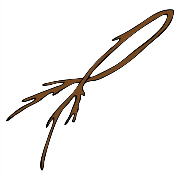 Rameau Sourcil Élément Vectoriel Dans Style Doodle Élément Décoratif — Image vectorielle