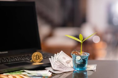 Bitcoin fiyat artışı tablosu. Bitcoins ve Yeni Sanal Para