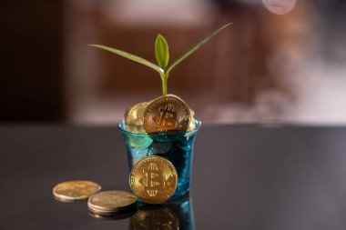 Bitcoin fiyat artışı tablosu. Bitcoins ve Yeni Sanal Para