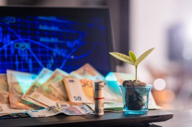 Bitcoin fiyat artışı tablosu. Bitcoins ve Yeni Sanal Para