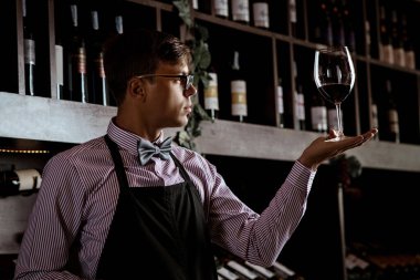 Profesyonel bir şarap garsonu yeteneğini yeni açılmış bir şarap şişesinin mantarını koklayarak gösterir. Sommelier..