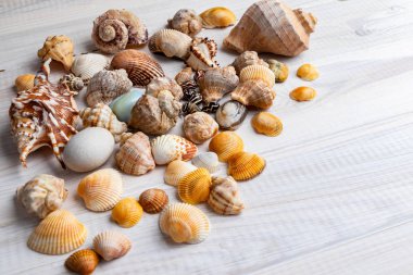 Hafif ahşap arka planda farklı deniz ürünleri