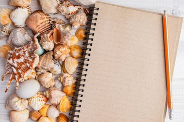 Yaz tatili whitewood için boş ve deniz kabuğu ile Düz döşeme dizüstü bilgisayar, üst görünümü 