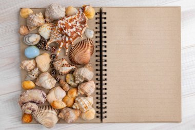 Yaz saati konsepti. Deniz kabukları ile boş not defteri sayfası. 