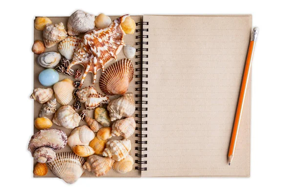 Different marine items on blank notepad. Summer concept. White isolated